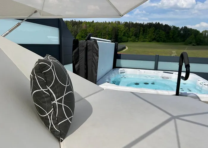 Poolhaus Bodensee Ideal Fuer Geschaeftsreisende