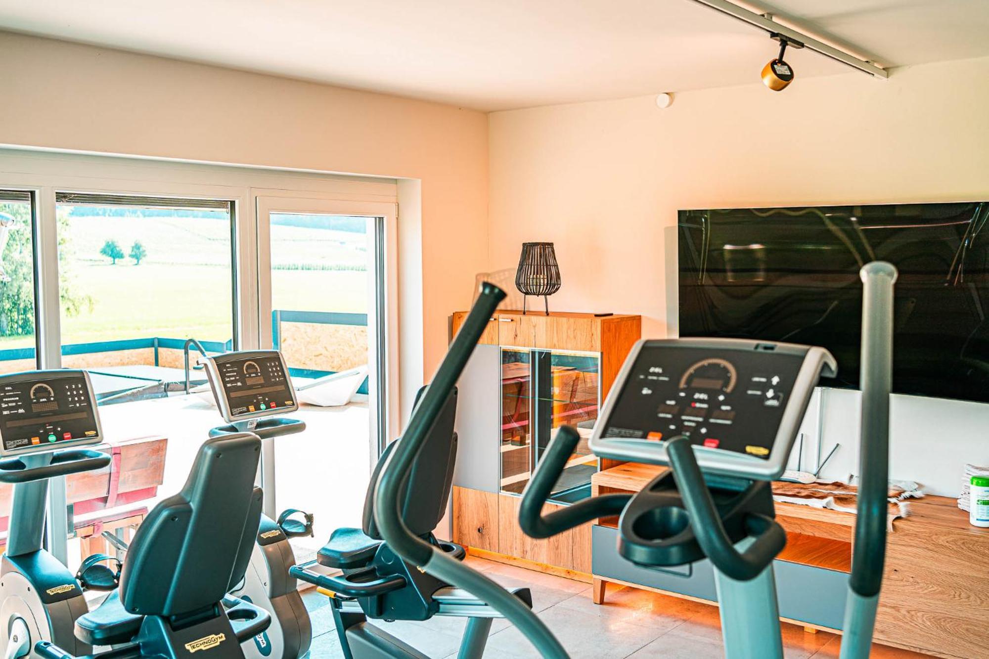 Apartment Poolhaus Bodensee Ideal Fuer Geschaeftsreisende
